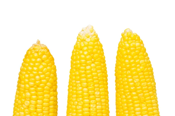 Кукурузные початки изолированы на белом — стоковое фото