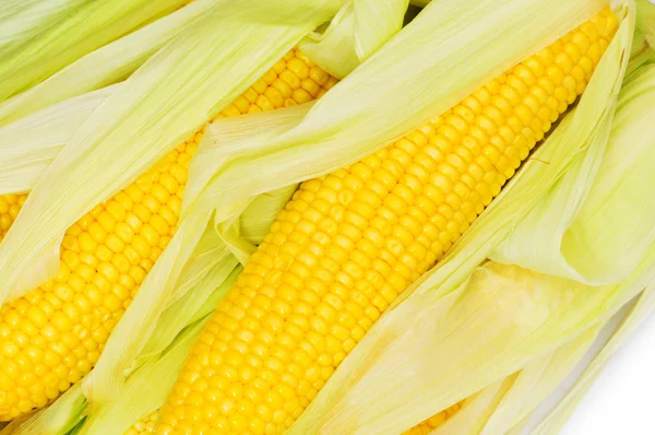 Mazorcas de maíz aisladas en el blanco —  Fotos de Stock