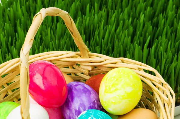 卵のバスケットや草 — ストック写真