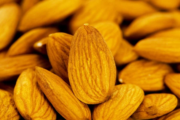Fresh almonds arranged on the white — Stock Photo, Image