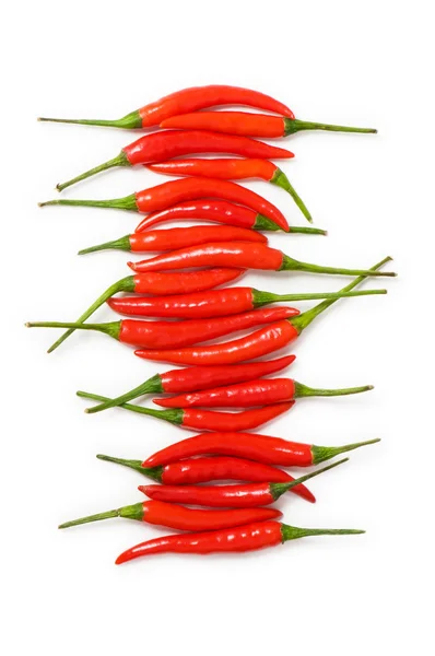 Červené chilli papričky, izolované na bílémκόκκινες πιπεριές τσίλι, απομονωμένη στο λευκό — Stock fotografie
