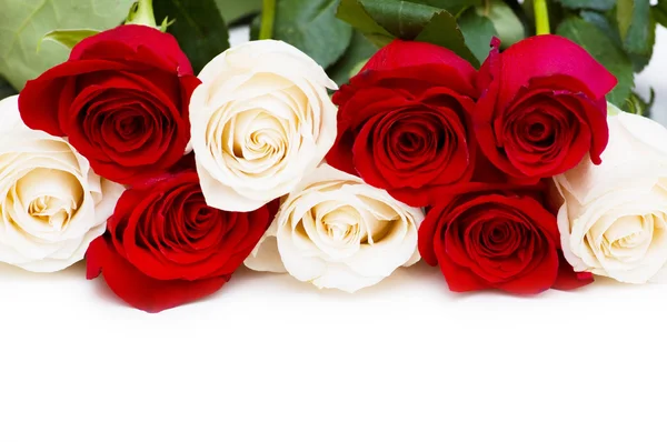 Κόκκινα και άσπρα τριαντάφυλλα που έχουν απομονωθεί — Φωτογραφία Αρχείου