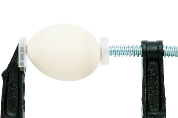 Strength concept with egg and clamp — Stock Photo, Image