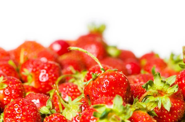 Beaucoup de fraises disposées — Photo