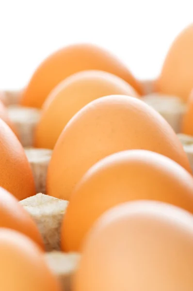 Kuřecí vejce v krabičce — Stock fotografie