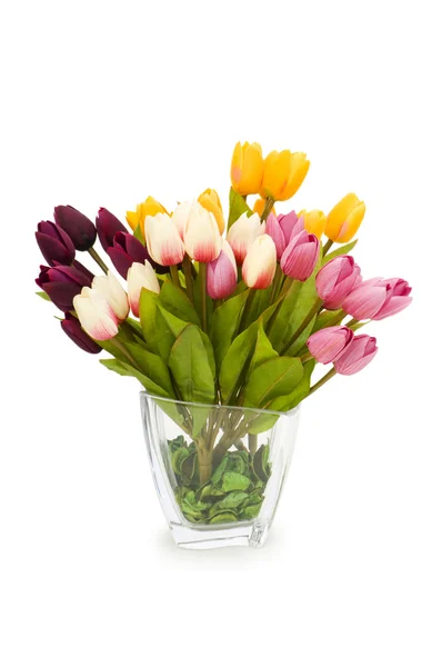 Kolorowe tulipany na białym tle — Zdjęcie stockowe