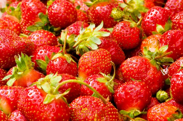 Lots of strawberries arranged — Stock Photo, Image