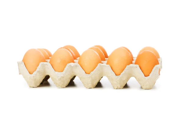 Багато яєць в коробці ізольовані — стокове фото
