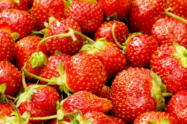 Lots of strawberries — Stock Photo, Image