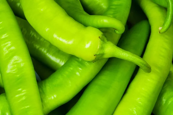 Many green hot peppers arranged — Stock Photo, Image