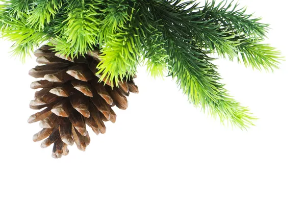 Kegel und Weihnachtsbaum isoliert — Stockfoto