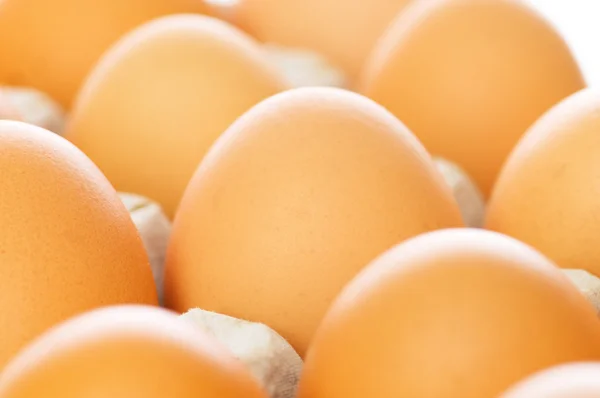 Куриные яйца в коробке — стоковое фото