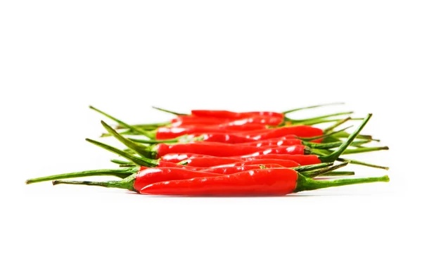 Piros chili paprika elszigetelt — Stock Fotó