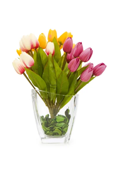 Bunte Tulpen isoliert auf dem weißen — Stockfoto