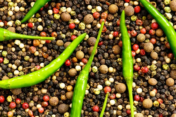 Pimentos vermelhos e verdes em pimentas — Fotografia de Stock