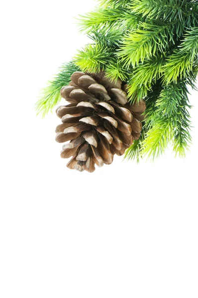 Cono y árbol de Navidad aislados —  Fotos de Stock