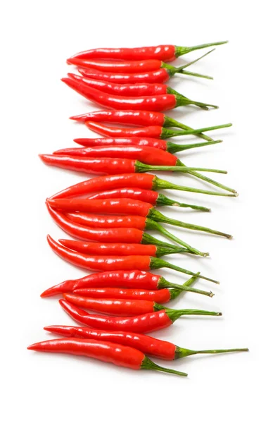 Piros chili paprika elszigetelt — Stock Fotó