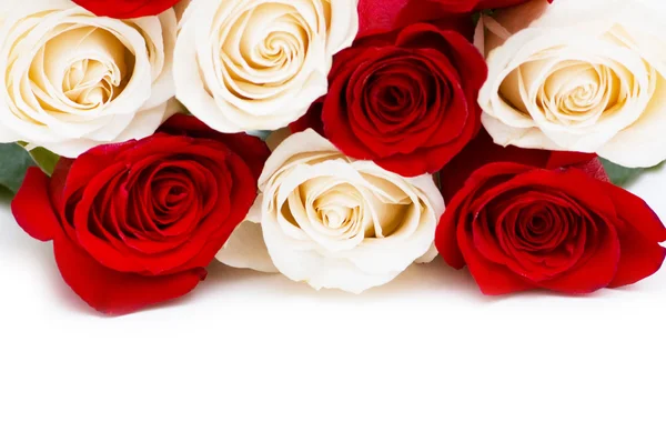 孤立的红、 白玫瑰 — 图库照片
