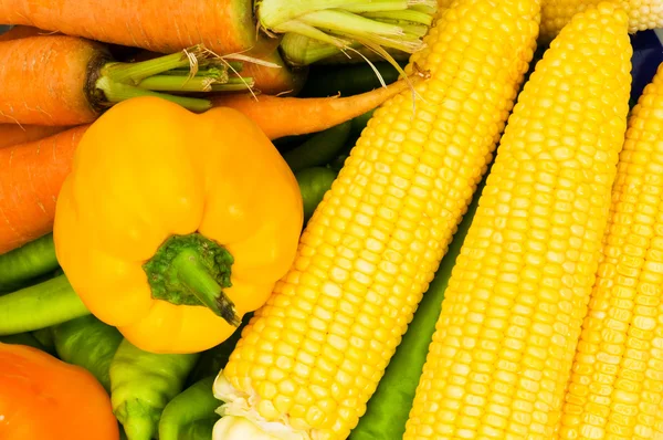 Various colourful vegetables arranges — Stock Photo, Image