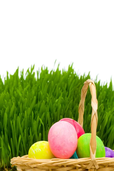 Eier im Korb und Gras isoliert — Stockfoto