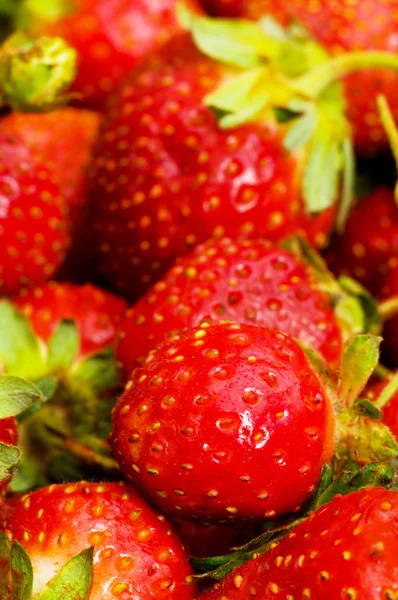 Red strawberries isolated on the white — Φωτογραφία Αρχείου