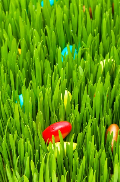 Concept de Pâques - œufs colorés dans l'herbe — Photo