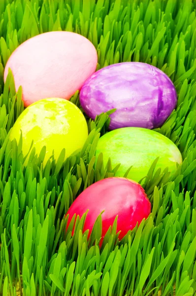 Pasen concept - kleurrijke eieren in gras — Stockfoto