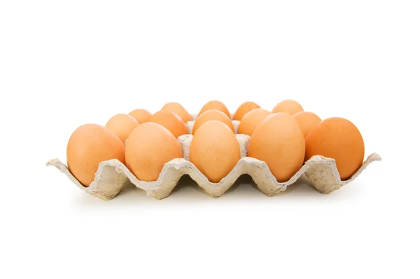 Muchos huevos en el cartón aislados —  Fotos de Stock