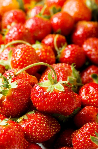 很多的草莓安排 — 图库照片