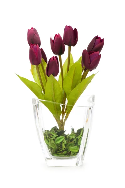 Tulipanes coloridos aislados en el blanco — Foto de Stock