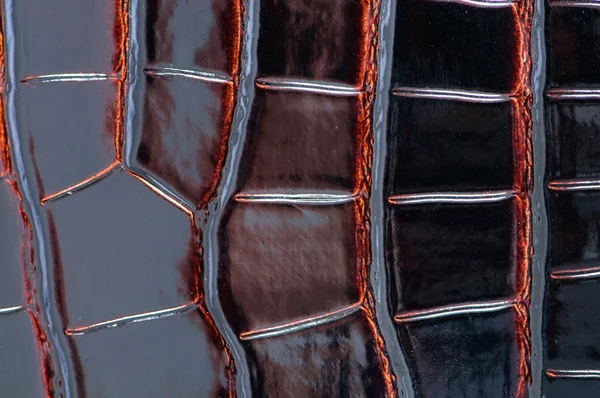 Background of dark crocodile leather — Stock Photo, Image
