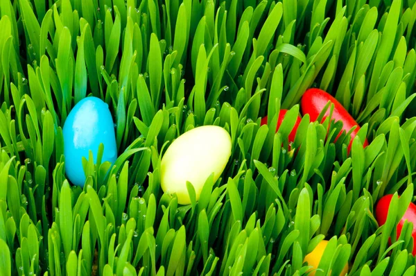 Velikonoční koncept - barevné vejce v trávě — Stock fotografie
