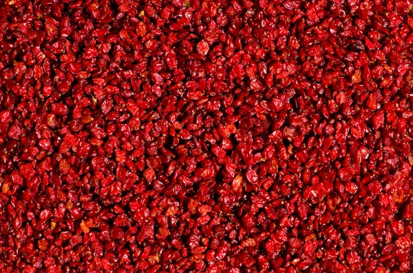 Red raisins isolated on the white — Stock Photo, Image