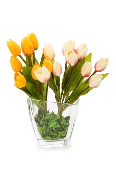 Kleurrijke tulpen geïsoleerd op de witte — Stockfoto