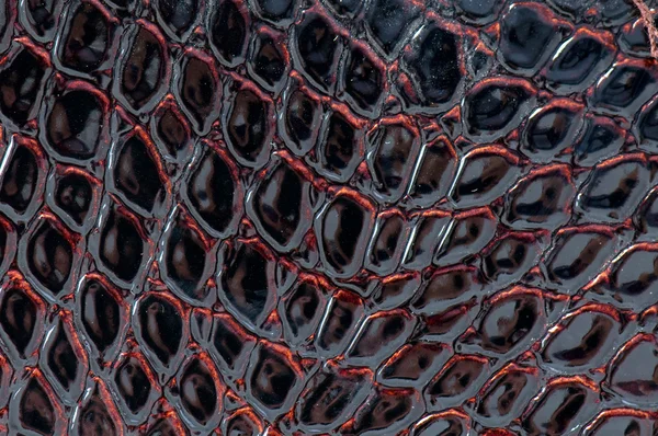 어두운 악어 가죽의 배경 — 스톡 사진