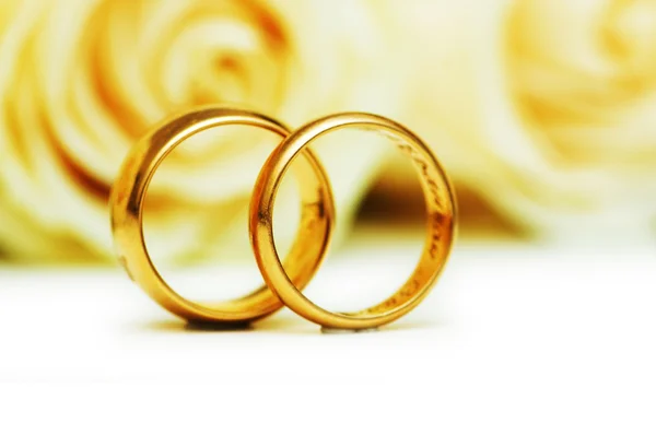 Růže a snubní prsteny, samostatný Royalty Free Stock Fotografie