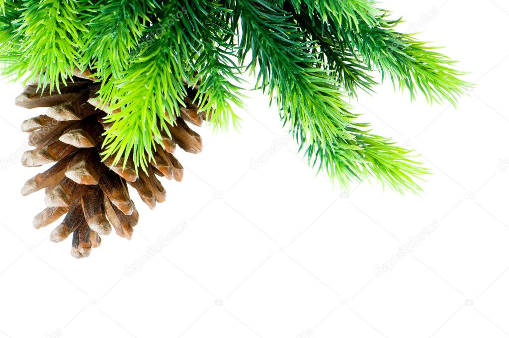 Cone and christmas tree isolated