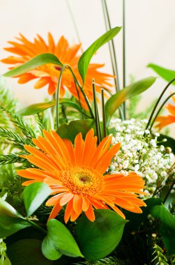 Orange gerbera flower agaisnt green clipart