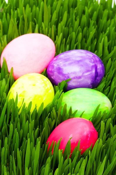 Osterkonzept - bunte Eier im Gras — Stockfoto