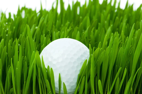 Boule de golf sur l'herbe verte — Photo