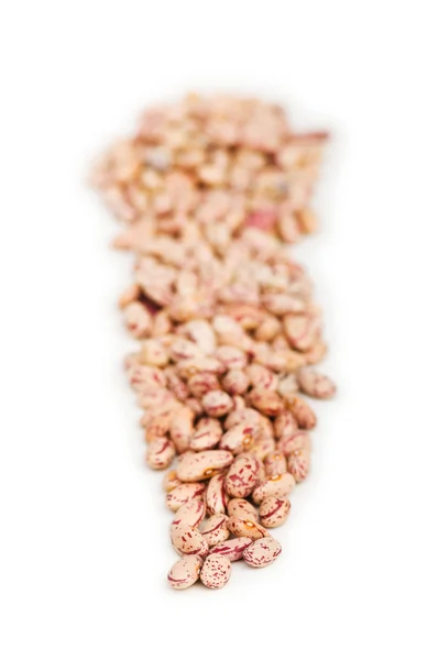 Banda fazole uspořádány — Stock fotografie