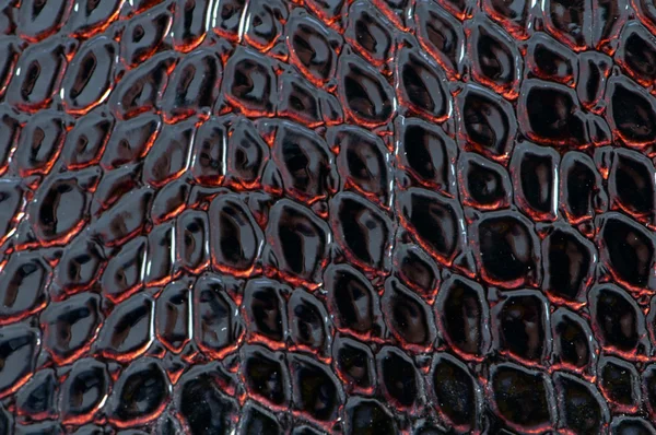 Background of dark crocodile leather — Stock Photo, Image