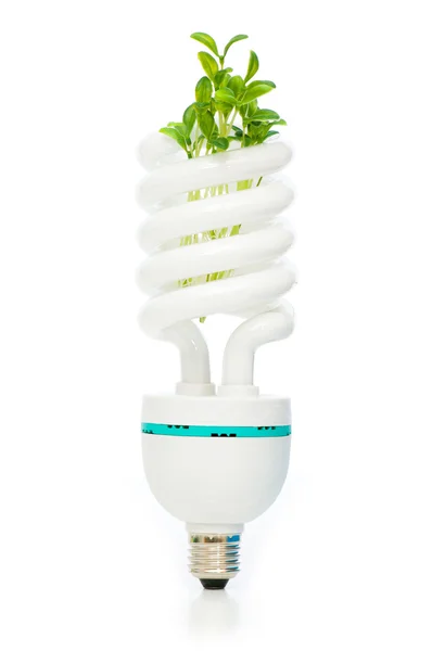 Lampe à économie d'énergie avec semis vert — Photo
