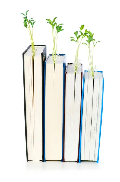 Kunskap koncept med böcker — Stockfoto