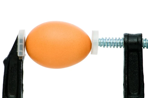 Концепция силы с яйцом — стоковое фото