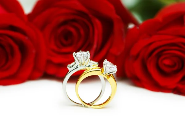Rosas y anillos de boda aislados Imagen De Stock