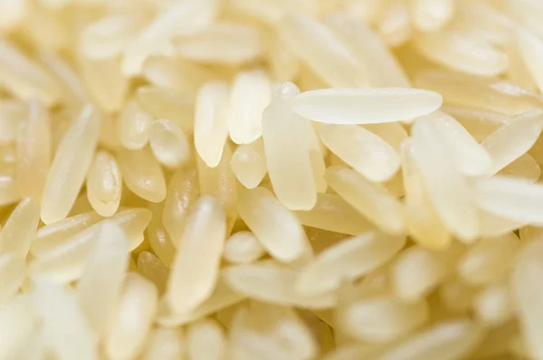 stock image Rice background