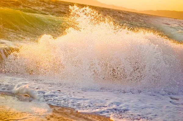 stock image Sea wave in the sunset light