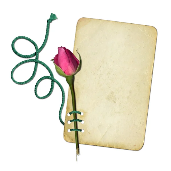 Grunge χαρτί με ροζ τριαντάφυλλο και σχοινί — Φωτογραφία Αρχείου