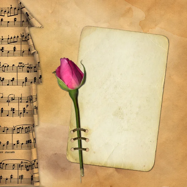Papier grunge avec rose sur fond musical — Photo